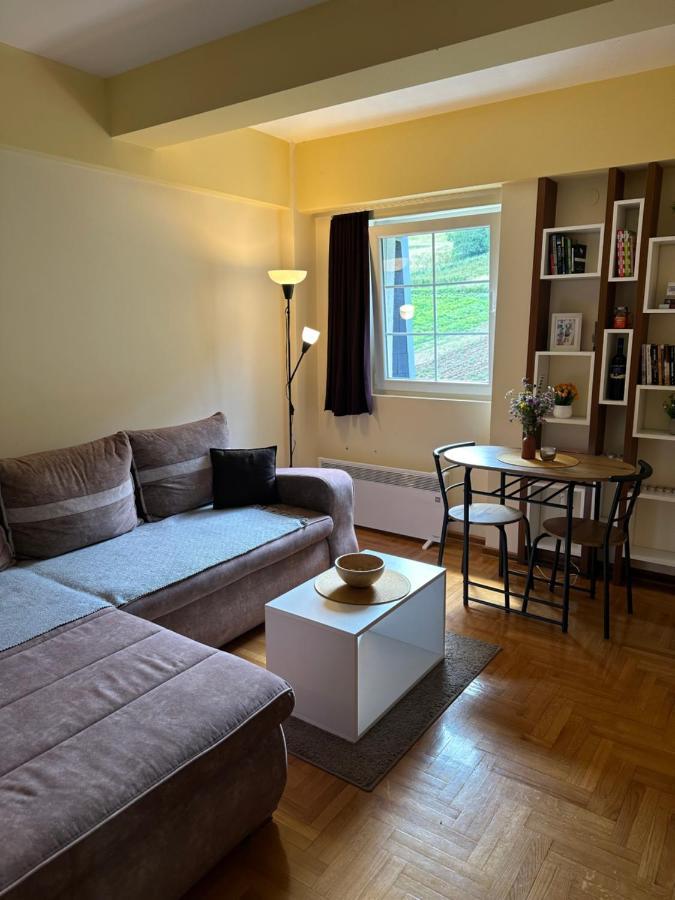 Suncani Apartman 36, Brzeće Dış mekan fotoğraf
